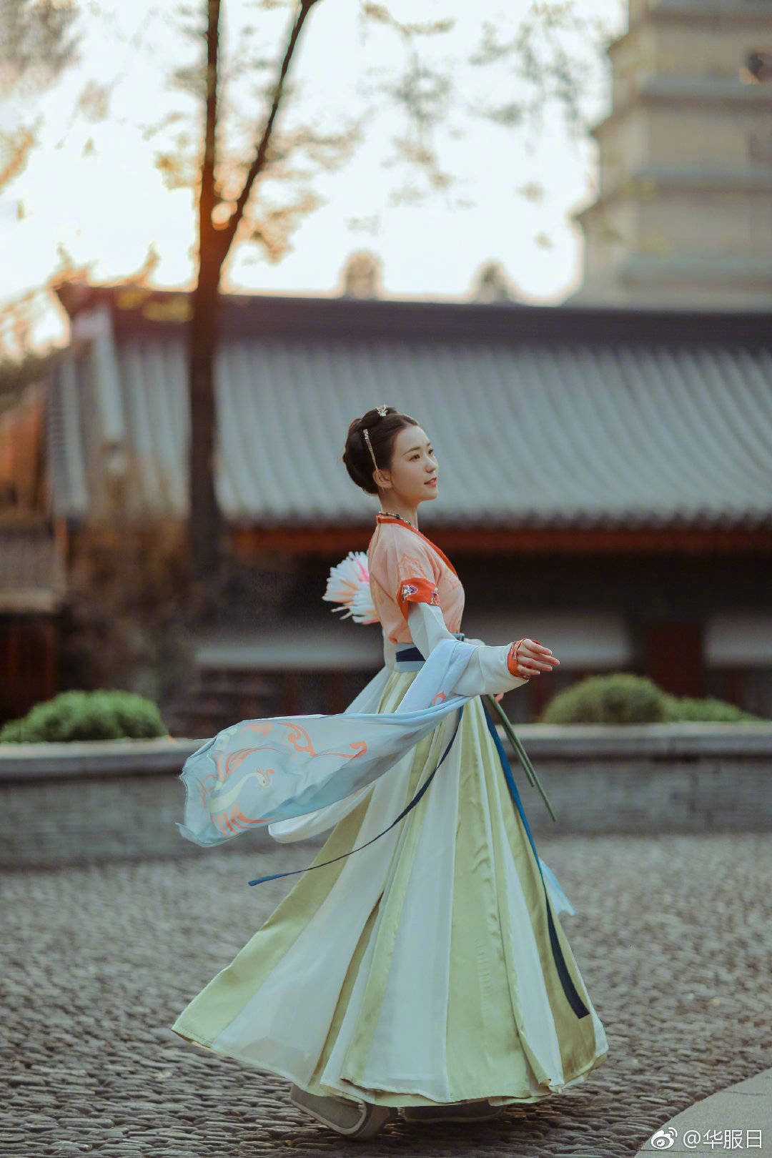 別管我閑事by林七年免費閱讀番外