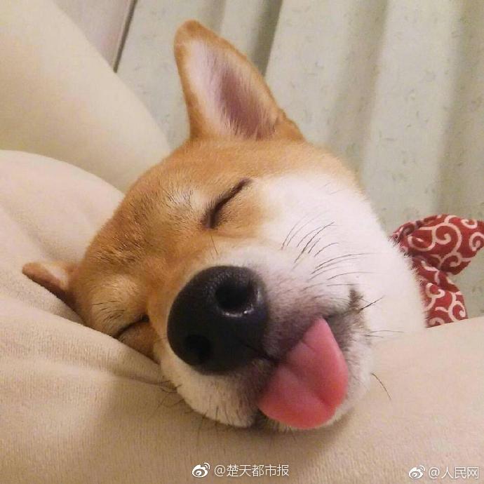 醫患關系by幾度完結