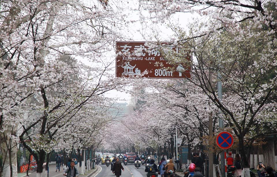 自知迷途by二飛全文在線閱讀