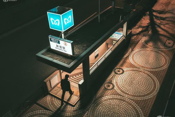 總裁的小狼狗gl