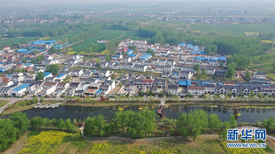 真沒想釣你by竹竹霧簡介