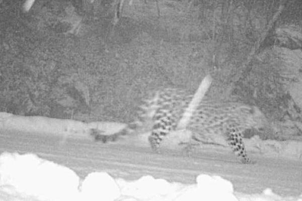 《不枉》by余酲