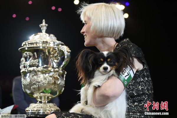 po十大公認最好看小說資源