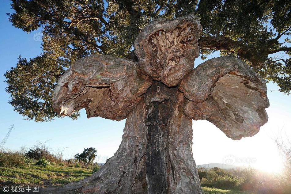 一見鐘情1v1甜寵