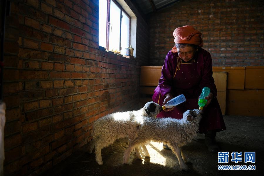 包法利夫人txt電子書百度云