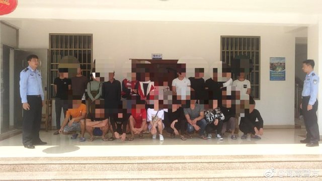 春林枝頭小說TXT