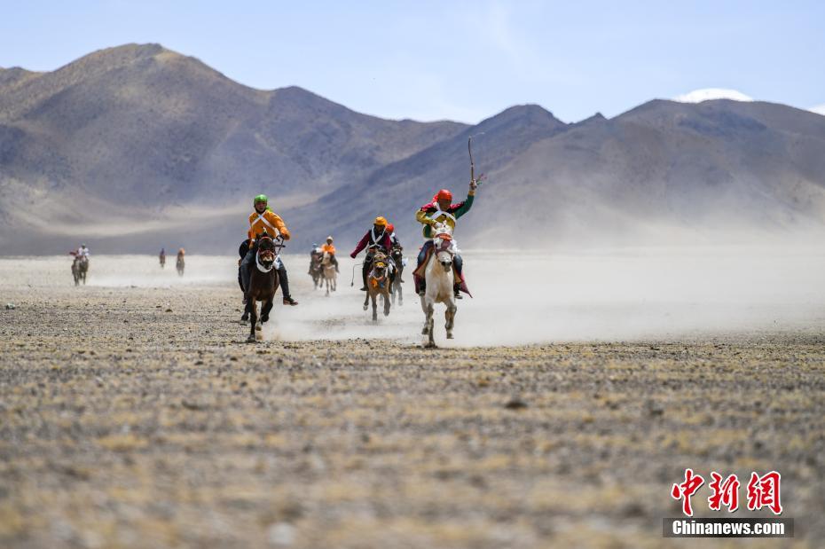 《遇蛇》作者:溯痕(全本+番外全).txt