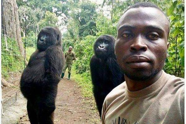 摯愛by九五的麥田 小說