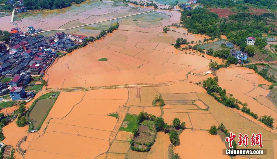 HP:蛇院的東方美人