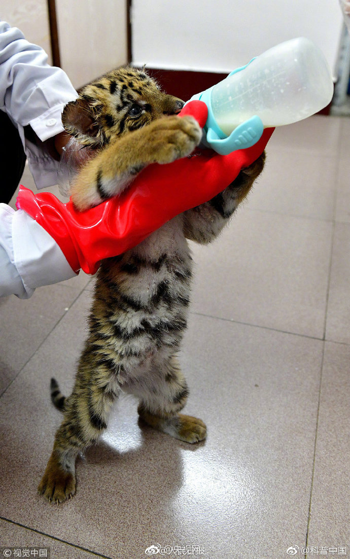 抹布日常by丑攻全文閱讀