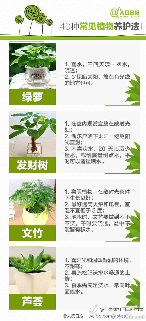 《犯規招惹》過期的糖,有實體書嗎?