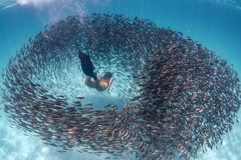 【快穿之嬌花難養】
