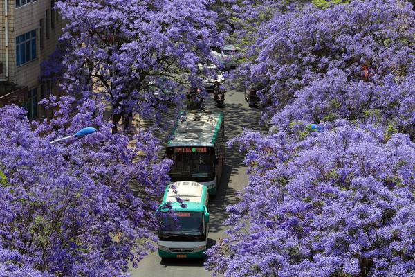 潮泥(1v1古言)講什么