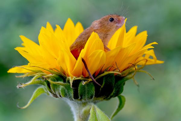 《咬痕》by歲晚類似