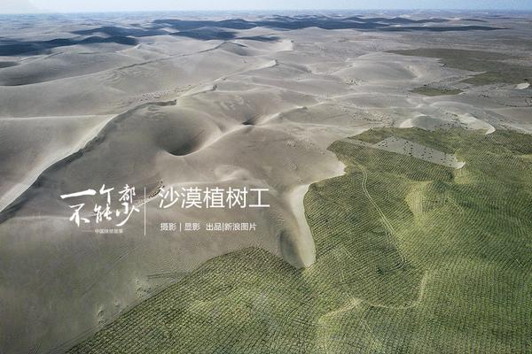 醫道官途全本TXT下載