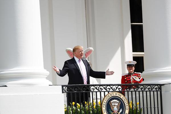 《狙擊蝴蝶》在線觀看高清