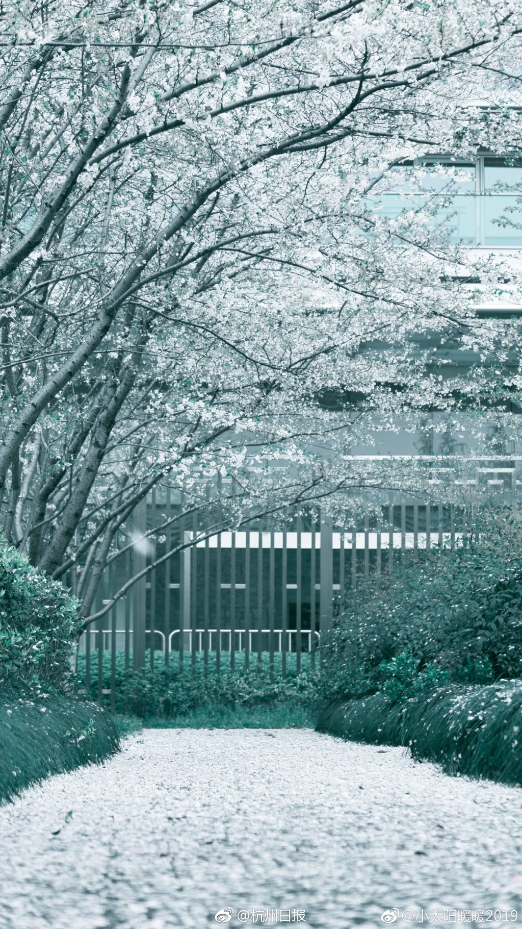 虞美人晁補(bǔ)之閱讀答案