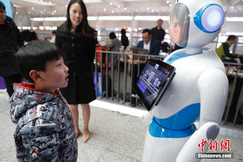 自由落體小說by