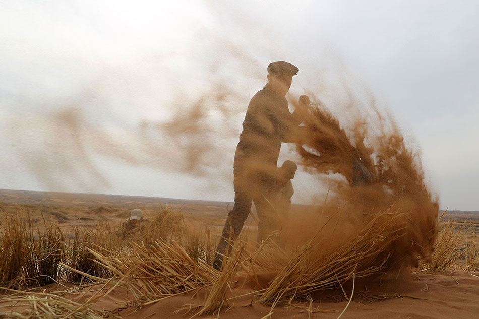 筆趣閣小說全文免費閱讀app(綠色版)下載