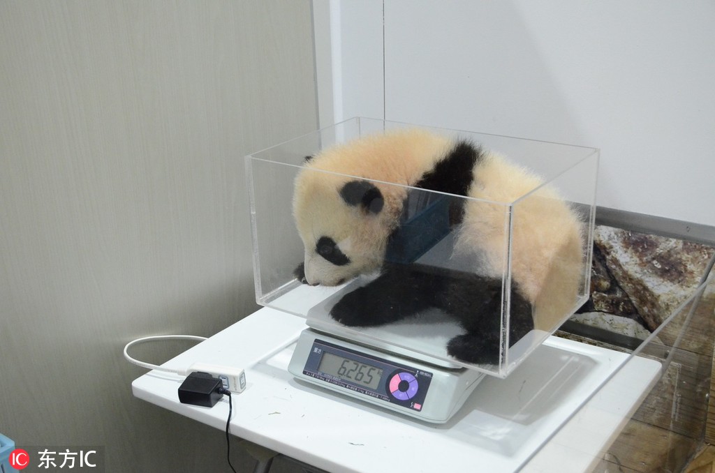 影帝他拒絕復婚by朽爺