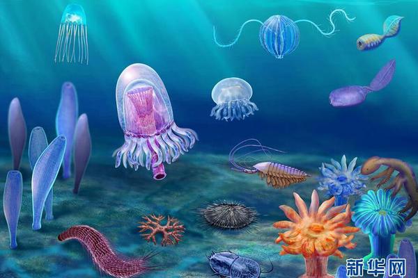 孕夫營業中(生子集合)筆趣閣無彈窗吃到