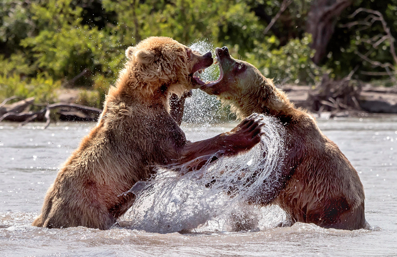 赫氏門徒(全本)