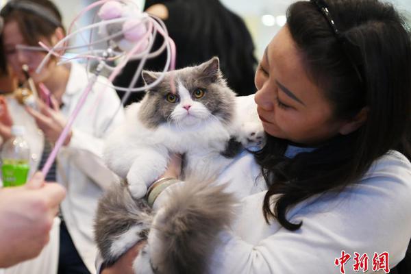 一個太監(jiān)闖內(nèi)宮筆趣閣