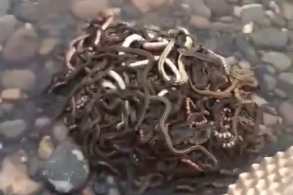 窗子以內by暴異思