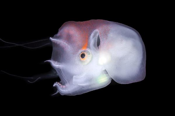 墜落筆趣閣無防盜章小說