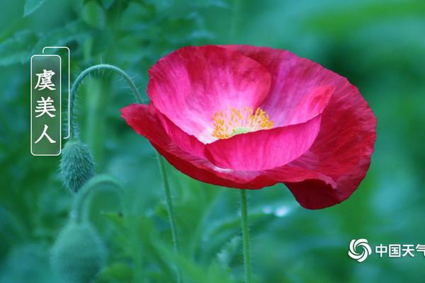 多么神奇的娃by柴雞蛋番外