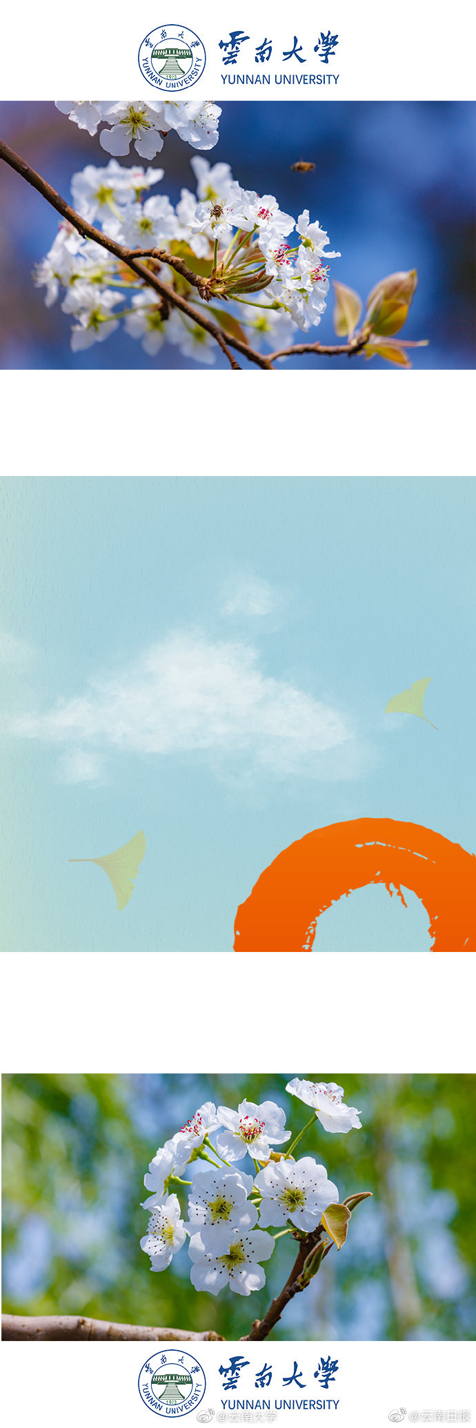 誘青梅by筆趣閣