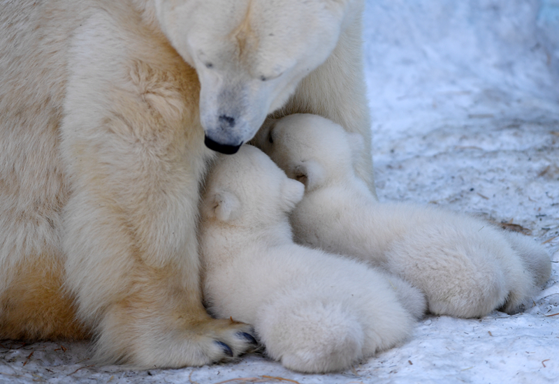 《他真漂亮》by晚月