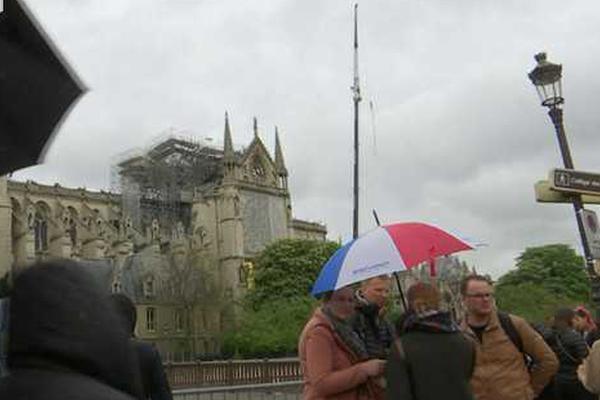 綽約by白芥子小說在線閱讀