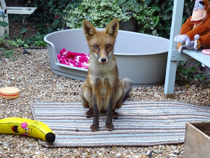 《秋水長(zhǎng)天》by小花花
