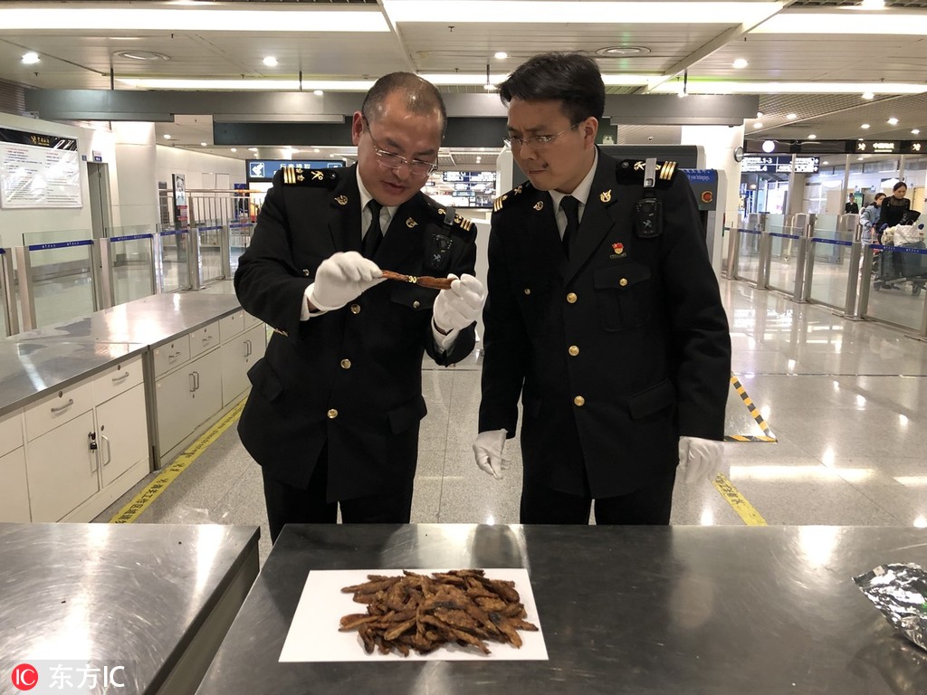 《春歸晏》by藤蘿為枝劇情