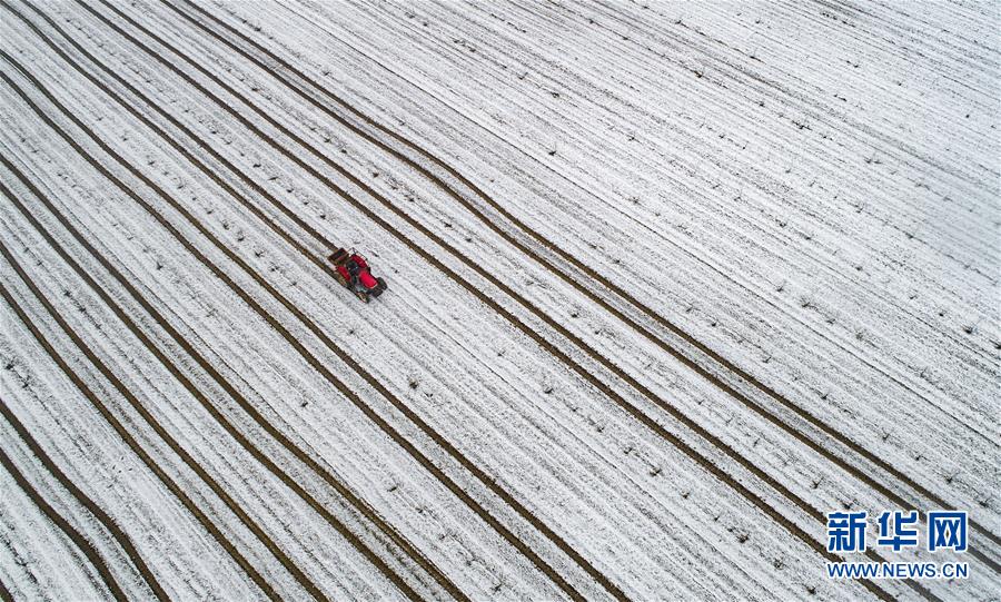 重生之纏縛by祎