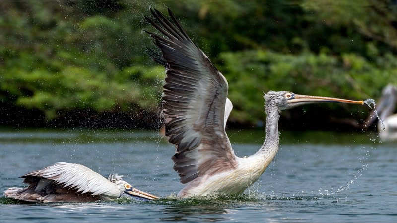 不再談愛情by李黎梨
