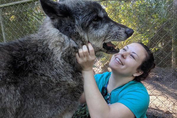 沉秋by心字成灰簡介