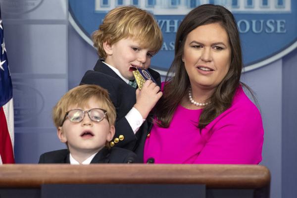 暗格里的秘密txt文件