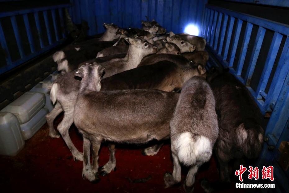 大伯哥的心尖寵1v1大結(jié)局