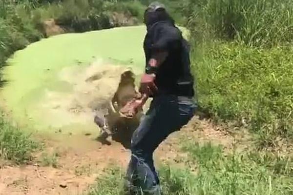 采蜜by小圈降臨全文免費