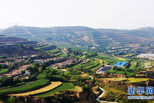 橫掃荒宇txt未刪減