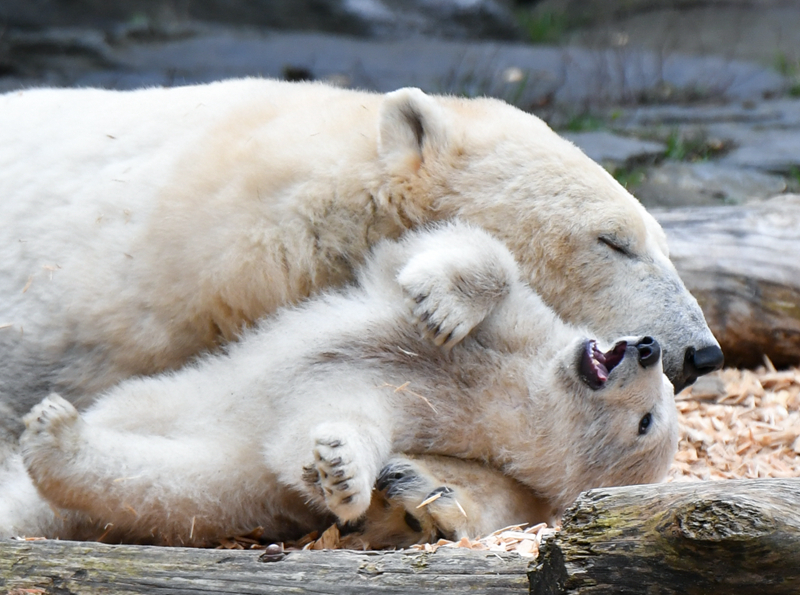 帳中香by金銀花露筆趣閣無彈窗