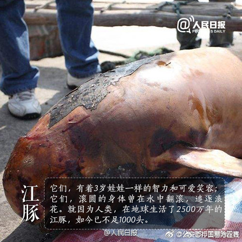 《攬玉懷》by橘子皮