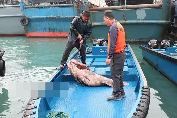 安全詞byCrrrrrrr栩你渝生