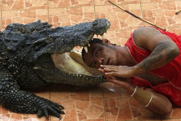 單兵作戰(zhàn)txt