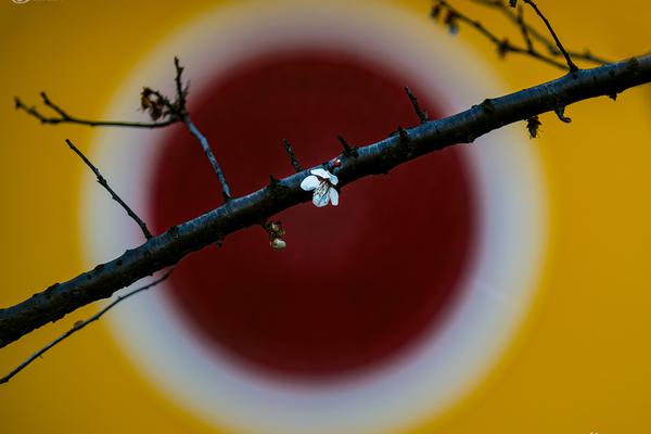 扶鸞by荔枝很甜