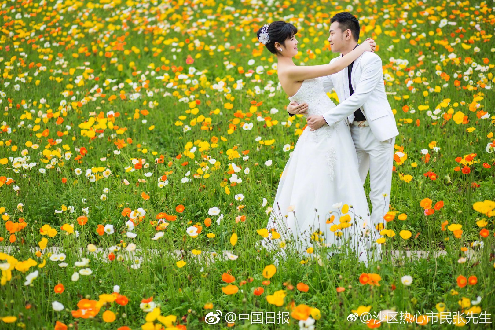 《以攻補(bǔ)過(guò)》by一顆杭白菜免費(fèi)閱讀