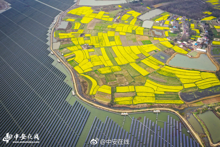 等風也等你by八斤蜜柑小說在線閱讀