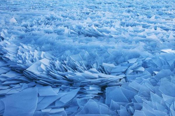 大佬的灌溉日常筆趣閣顧念txt